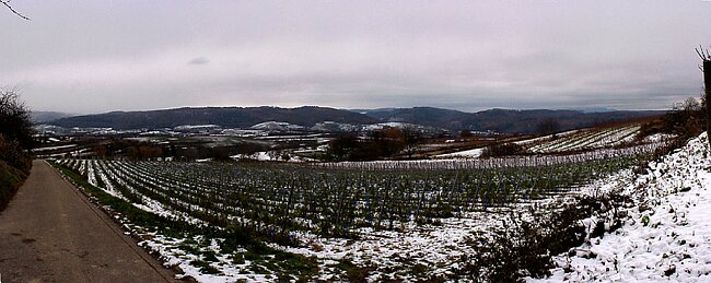 IMAG0053-8.jpg
