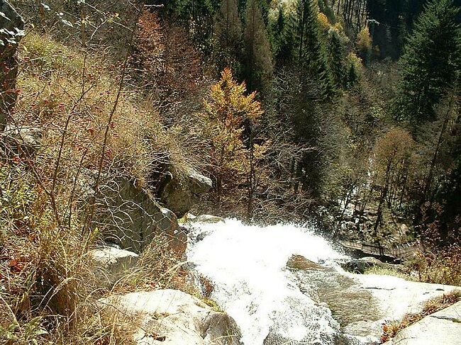DSCF0006.JPG