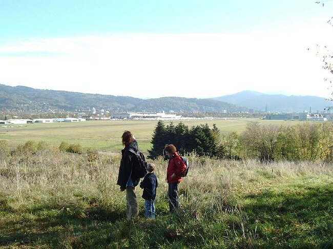 IMAG0022.JPG
