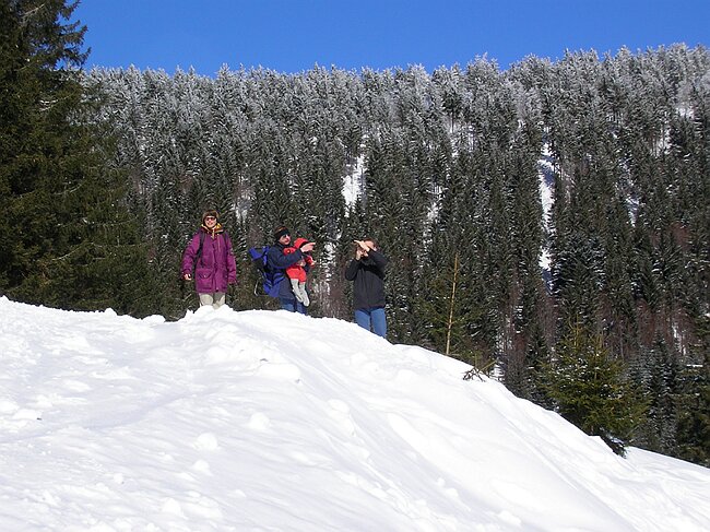 hochkopfhuette 079.jpg