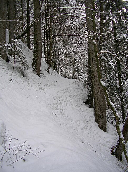 ravennaschlucht 043.jpg