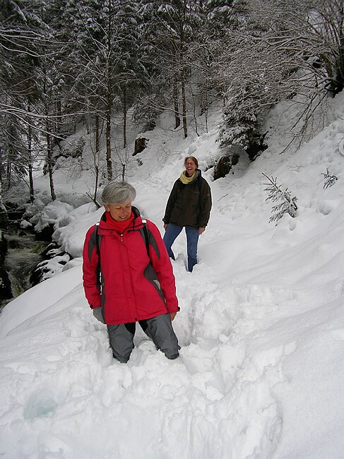 ravennaschlucht 047.jpg