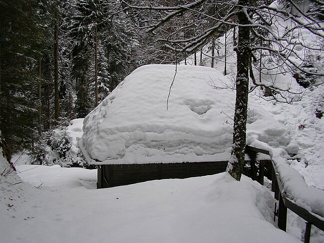 ravennaschlucht 053.jpg
