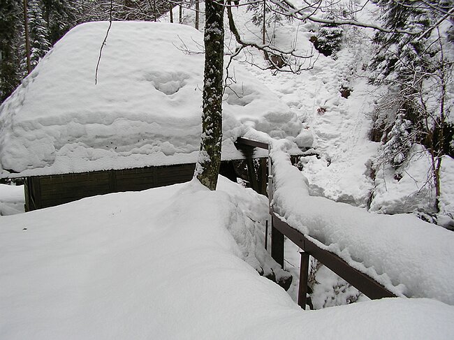 ravennaschlucht 054.jpg