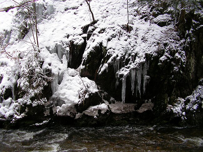 ravennaschlucht 056.jpg