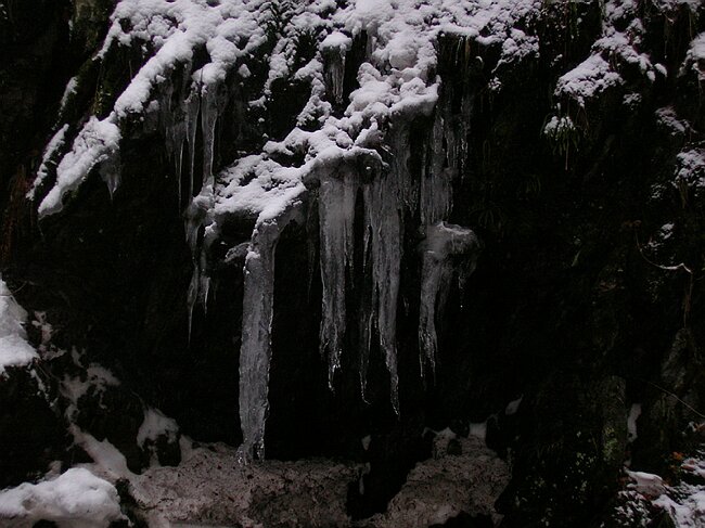 ravennaschlucht 062.jpg