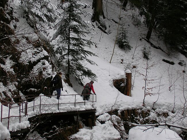 ravennaschlucht 065.jpg