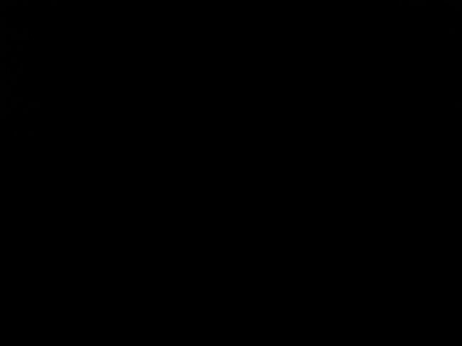 ravennaschlucht 071.jpg