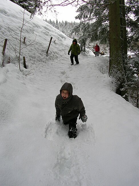 ravennaschlucht 031.jpg