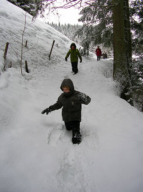 ravennaschlucht 032.jpg