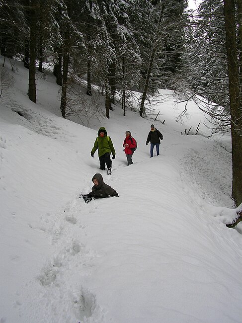 ravennaschlucht 034.jpg
