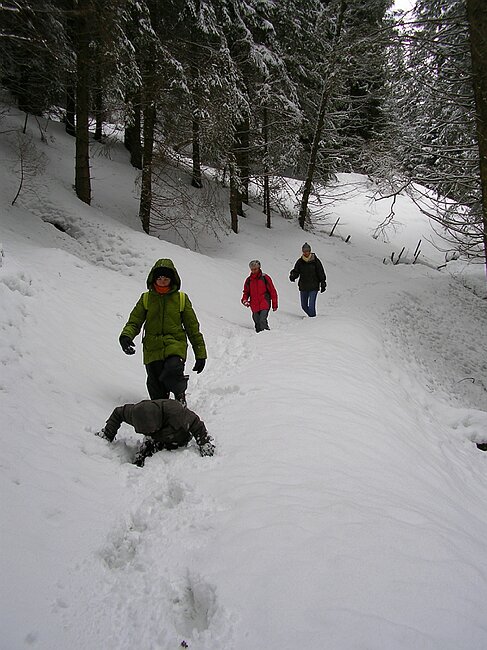 ravennaschlucht 036.jpg