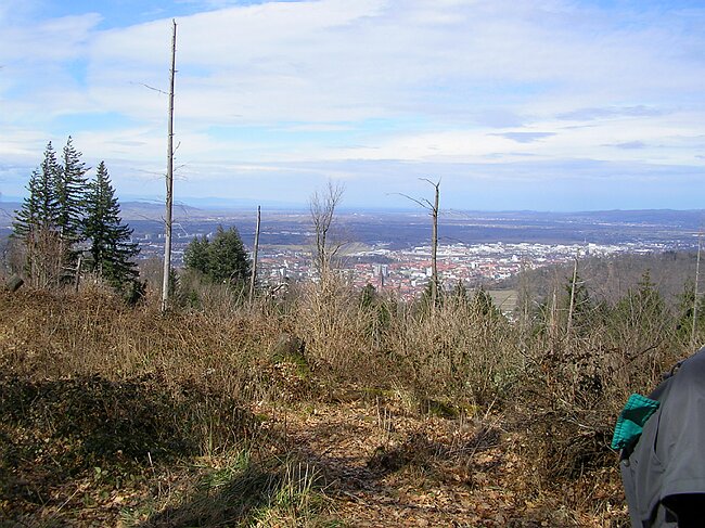 06-03-26 060.jpg