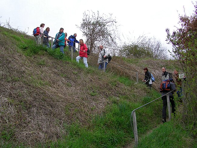 SANY0933.JPG