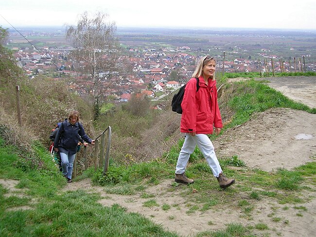 SANY0943.JPG