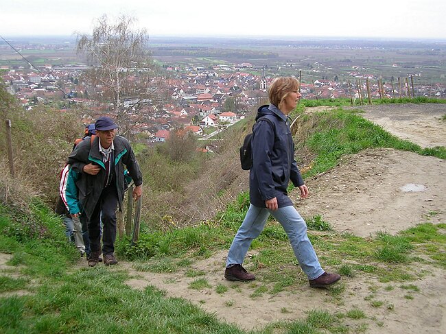 SANY0944.JPG