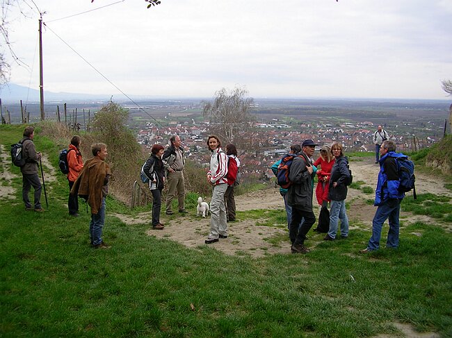 SANY0945.JPG