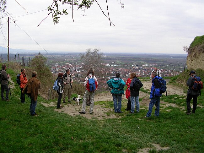 SANY0946.JPG