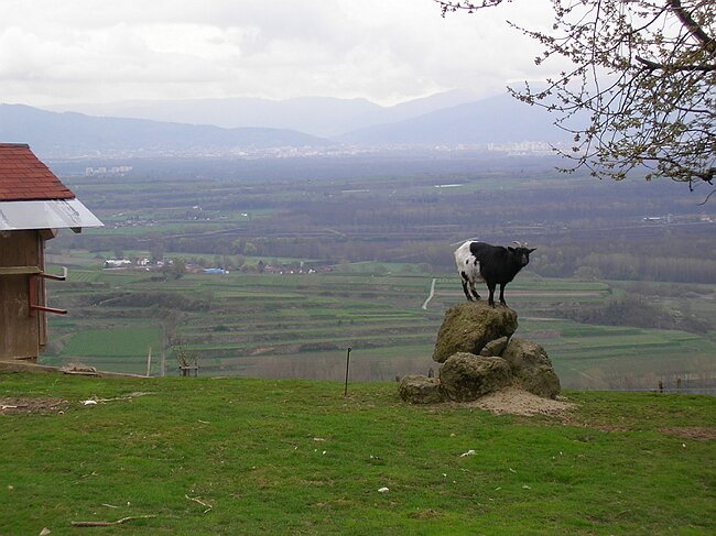 SANY0947.JPG