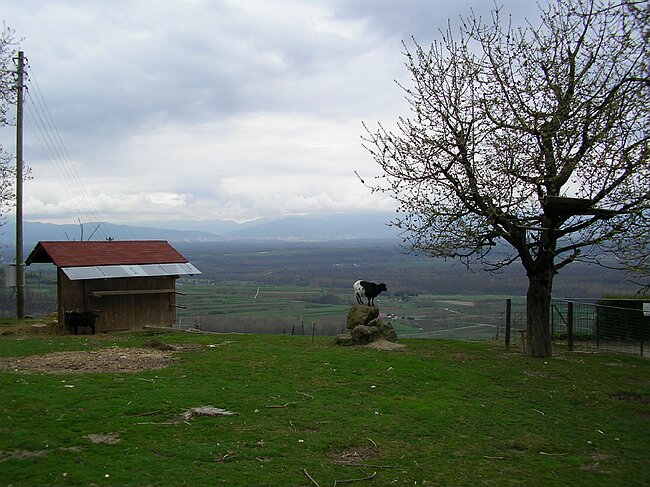 SANY0948.JPG