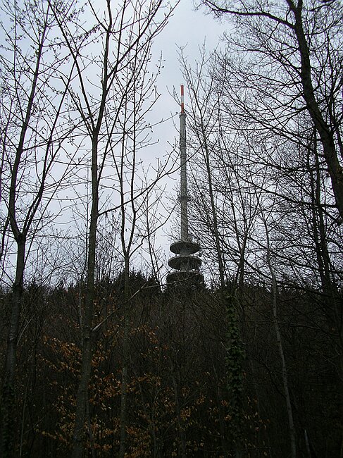 SANY0955.JPG