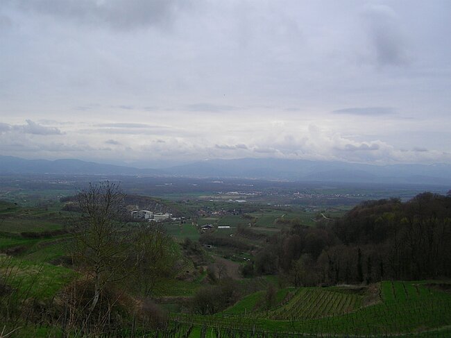 SANY0958.JPG