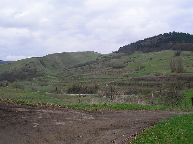 SANY0964.JPG