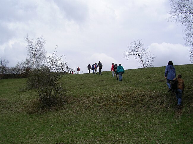 SANY0972.JPG
