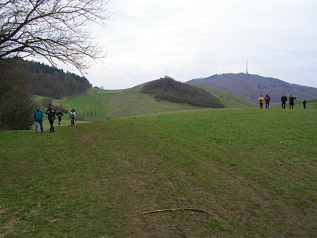 SANY0982.JPG