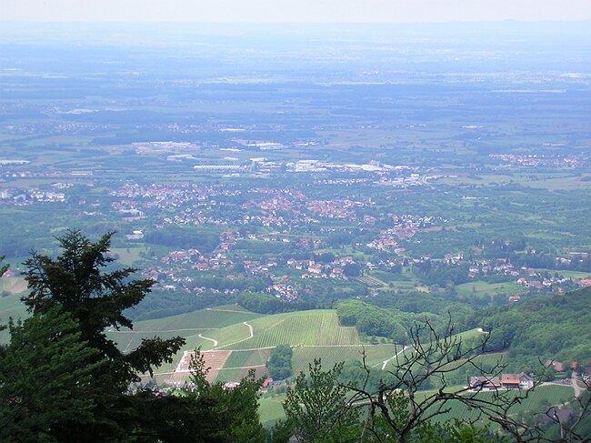SANY1353.JPG