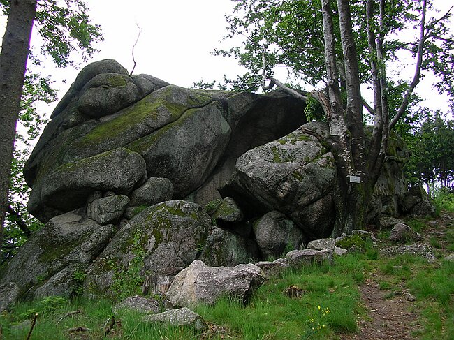 SANY1366.JPG