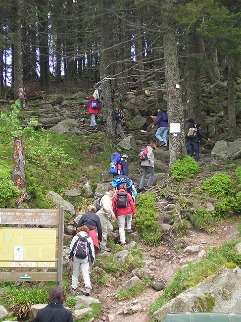 SANY1385.JPG