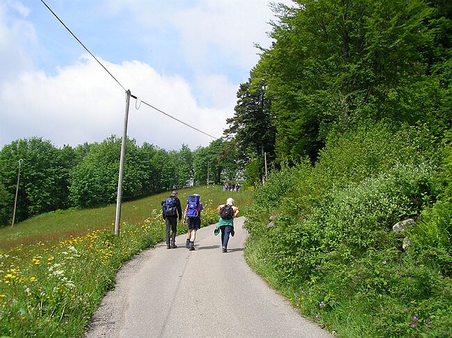 SANY1416.JPG
