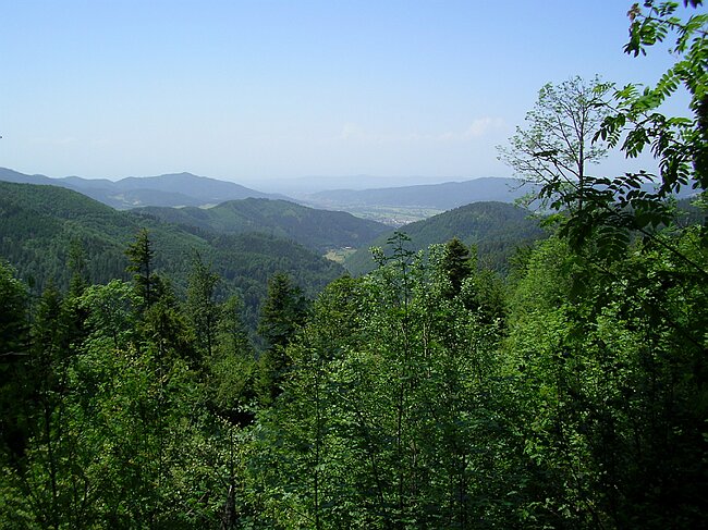 SANY1828.JPG