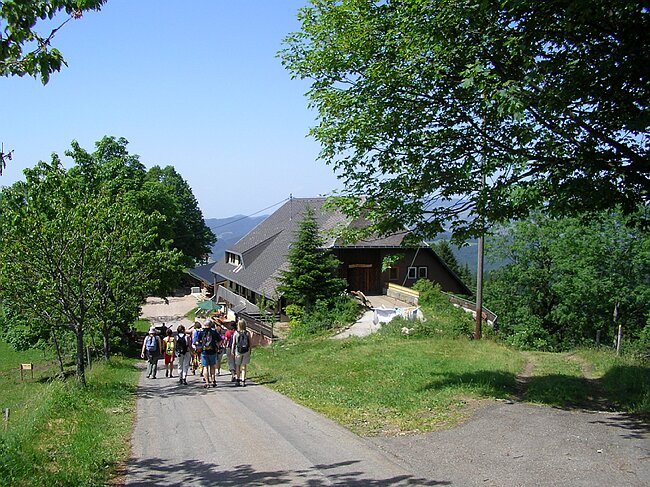 SANY1840.JPG