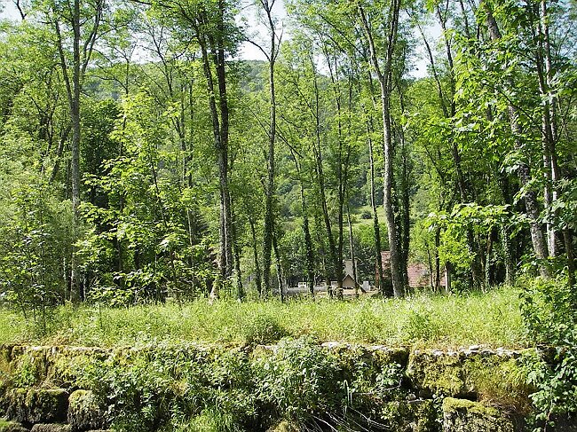 IMGP9130.JPG