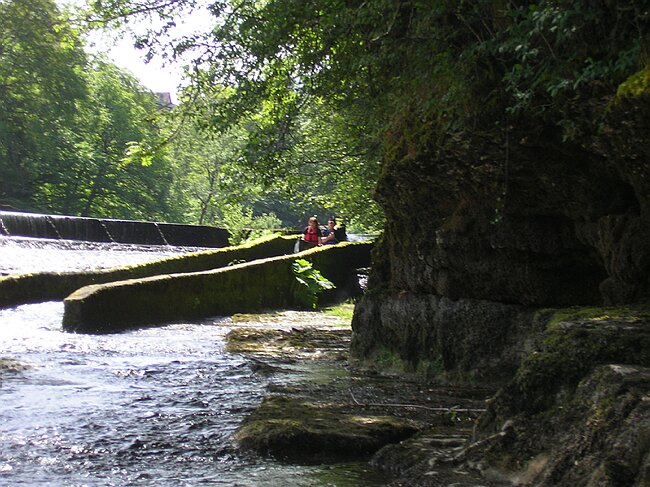 SANY1678.JPG