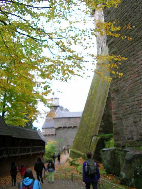 SANY3685.JPG
