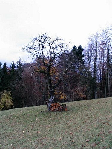 107_0731.JPG