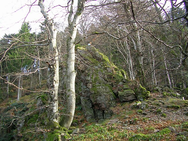 SANY3986.JPG