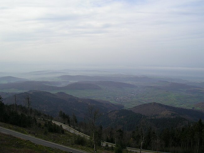 SANY3976.JPG