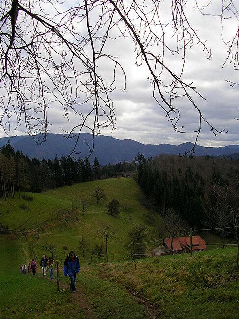 SANY4321.JPG