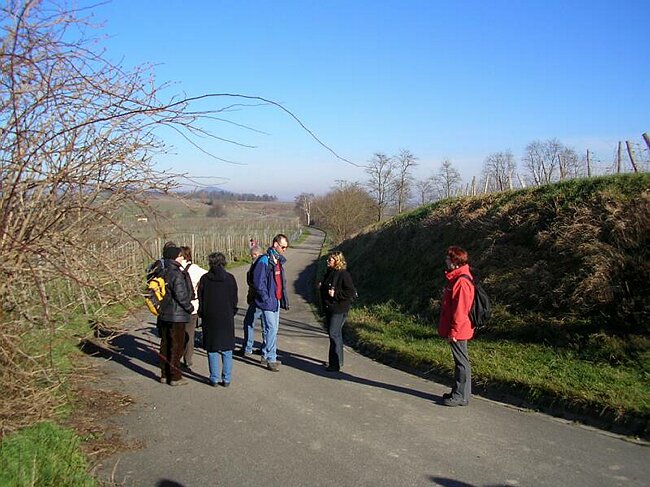 SANY4445.JPG