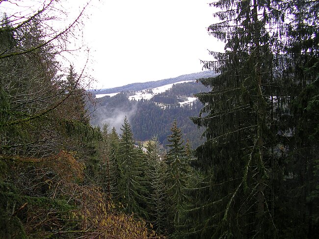 SANY4563.JPG