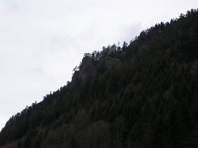 SANY4577.JPG