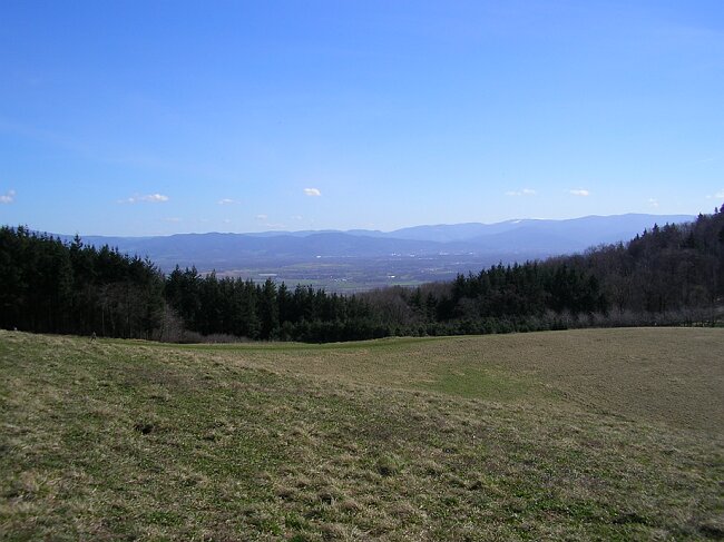 SANY4617.JPG