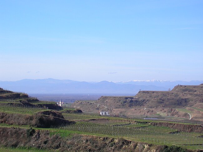 SANY4595.JPG