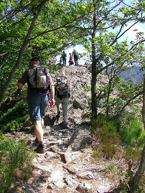 SANY5327.JPG