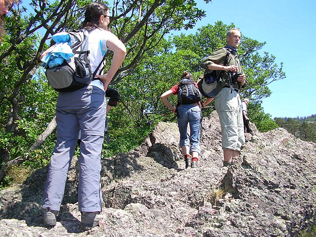 SANY5330.JPG