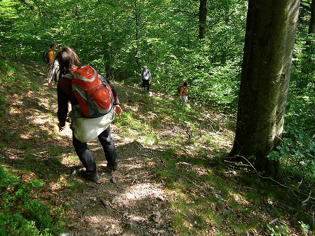 SANY5386.JPG